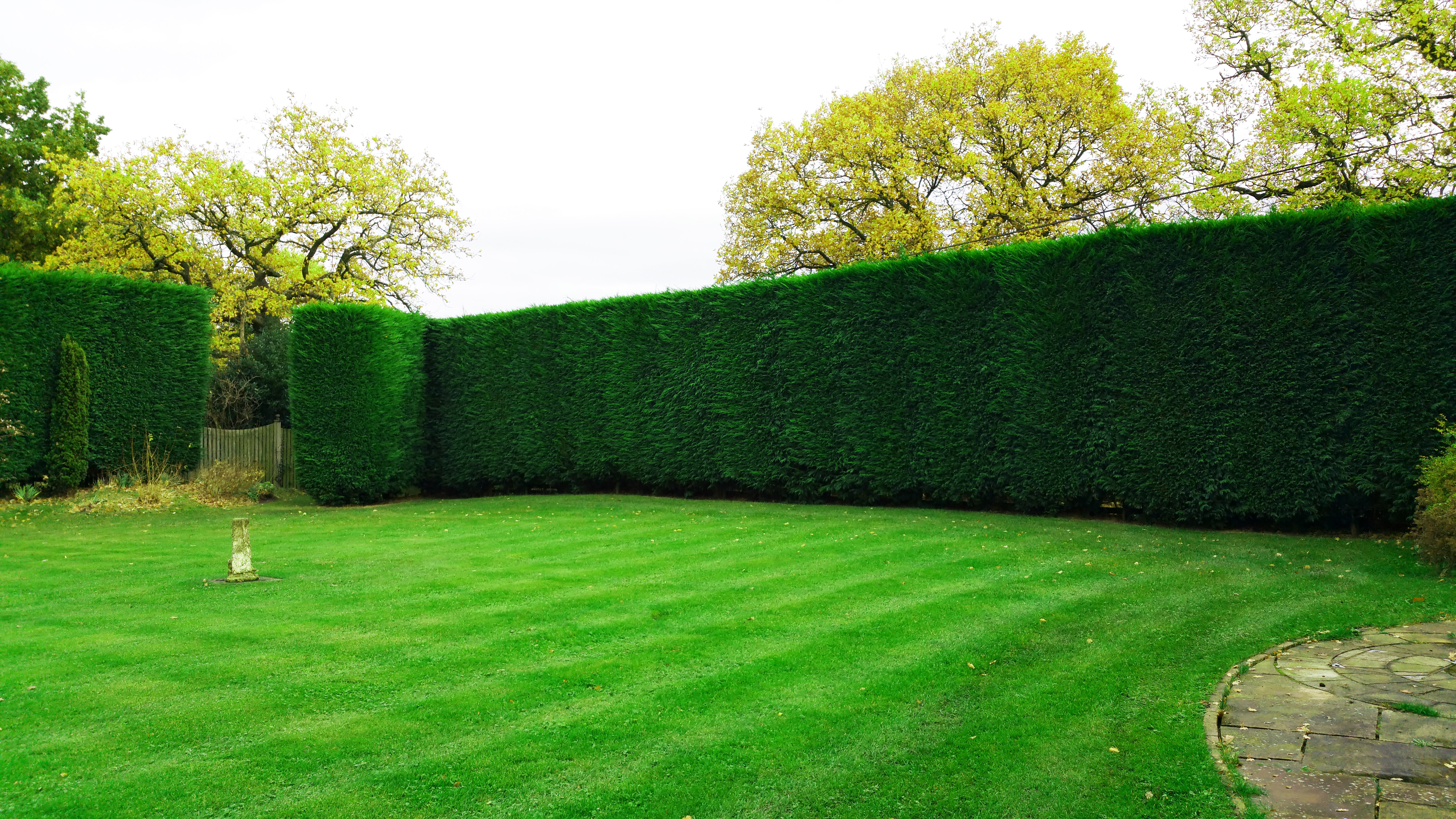 garden2